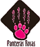 Movimento Panteras Rosa